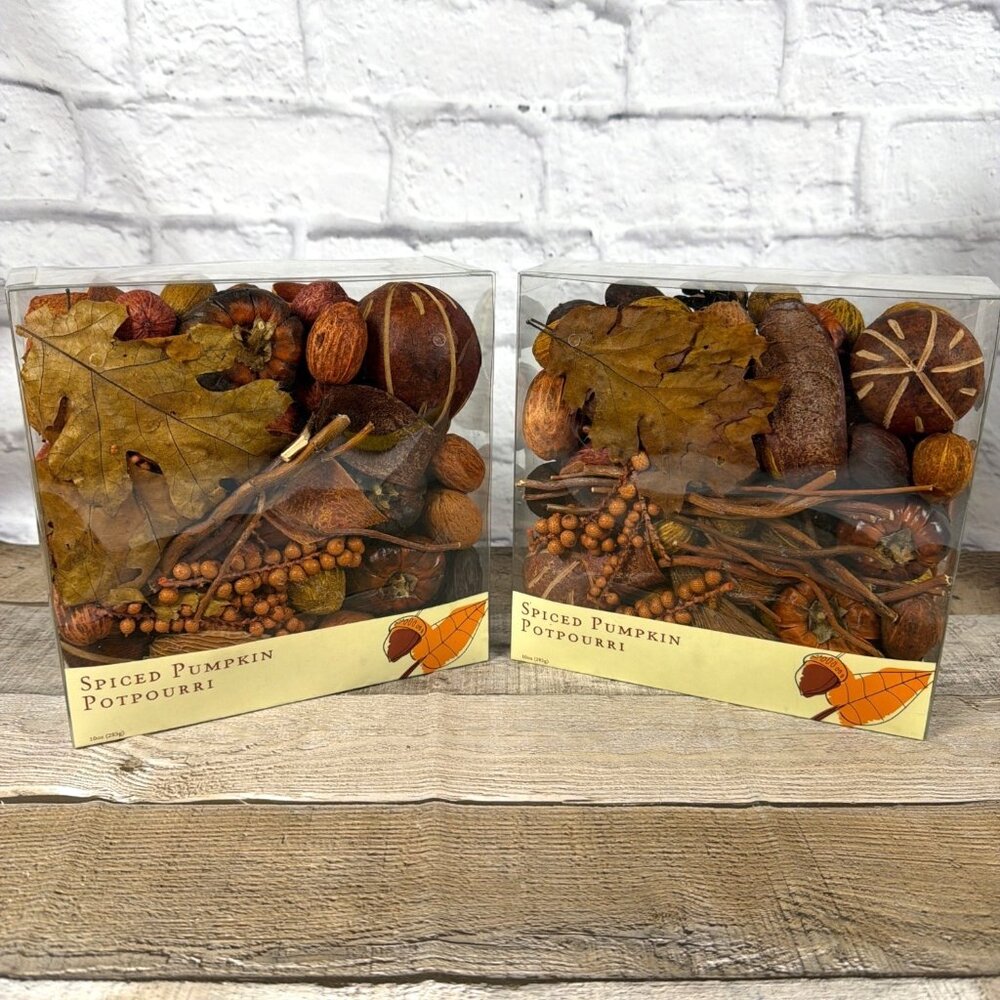 Spiced Pumpkin Potpourri World Market Fall Harvest Home Table Décor Bowl Filler - Picture 2 of 10